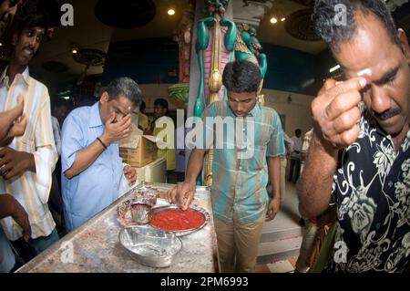 Male devotees applying white bindi at Deepavali ceremony, Sri Veeramakaliamman Temple, Little India, Singapore Stock Photo