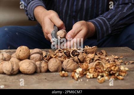 Man cracking walnuts at wooden table, closeup Stock Photo