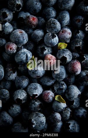Blueberries with Water Droplets against a blue background Stock Photo