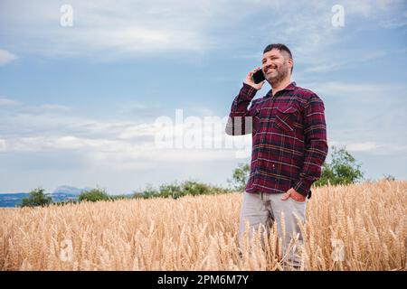 Mature farmer smiling and having a call by smartphone at harvest wheat. Happy caucasian cowboy talking by cell phone on a farmland under the blue sky and clouds and sunlight. Communication concept. High quality photo Stock Photo