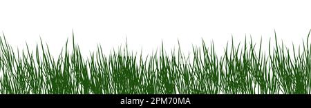 digitally rendered green grass isolated on white. Stock Photo