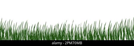 digitally rendered green grass isolated on white. Stock Photo