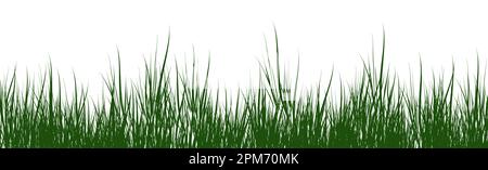 digitally rendered green grass isolated on white. Stock Photo