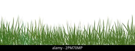 digitally rendered green grass isolated on white. Stock Photo