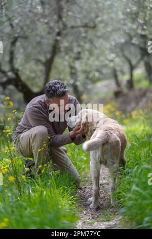 Man with his senior Labrador Retriever dog in spring forest Stock Photo