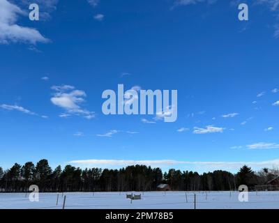 Blue sky and forest in the north of Sweden Stock Photo