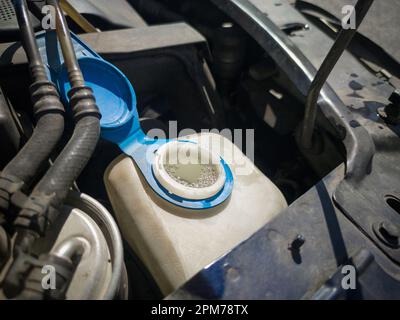 Windshield washer fluid reservoir cap. Windshield washer liquid cap inside  a car engine. Closeup cap windshield cleaner water liquid tank Stock Photo  - Alamy