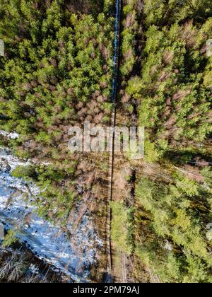 Aerial drone view to wooden hiking path through forest in Estonia at spring sunny day Stock Photo