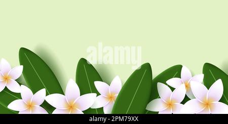 Vector illustration of exotic frangipani flower and leaves, frame the bottom of the screen, spa ad banner, tropical resort Stock Vector