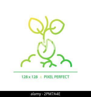 Germination gradient linear vector icon Stock Vector