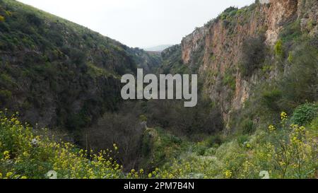 View of Ayun River Nature Reserve in northern Israel Stock Photo