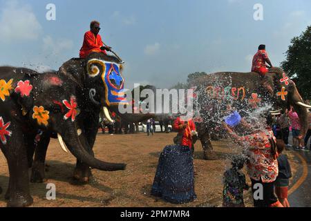 Ayutthaya, Thailand. 11th Apr, 2023. Elephants and tourists splash water on each other during a celebration for the upcoming Songkran Festival, in Ayutthaya, Thailand, April 11, 2023. Songkran Festival, the traditional Thai New Year, is celebrated from April 13 to 15 every year, during which people express greetings by splashing water on each other. Credit: Rachen Sageamsak/Xinhua/Alamy Live News Stock Photo
