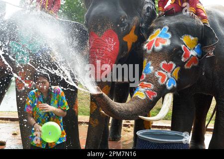 Ayutthaya, Thailand. 11th Apr, 2023. An elephant sprays water on a tourist during a celebration for the upcoming Songkran Festival, in Ayutthaya, Thailand, April 11, 2023. Songkran Festival, the traditional Thai New Year, is celebrated from April 13 to 15 every year, during which people express greetings by splashing water on each other. Credit: Rachen Sageamsak/Xinhua/Alamy Live News Stock Photo