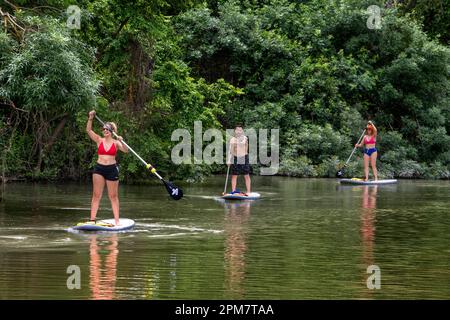 People doing paddle surf on rio Tajo river or Tagus river in the La Isla garden Aranjuez Spain.  The Tagus begins its journey through the plain of Ara Stock Photo