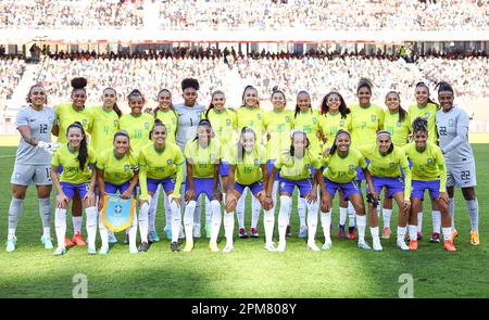 Brazil players, front row from left, Ramires, Daniel Alves, Kaka, Robinho,  Michel Bastos, back row from left, Lucio, Julio Cesar, Luis Fabiano, Juan,  Maicon, and Gilberto Silva pose for a team photo