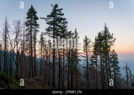 Yosemite National Park in California Stock Photo