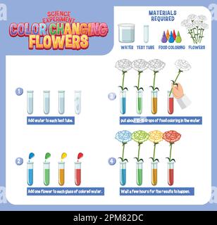 Coloured Roses Science Color changing flowers science experiment illustration Stock Vector ...