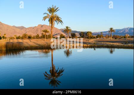 United States, California, Greater Palm Springss region, area of yard golf to Borrego Springs Resort & Spa Stock Photo