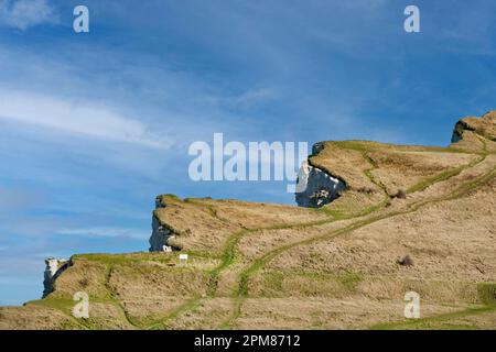 France, Seine Maritime, Saint Martin en Campagne, Cote d'Abatre, petit Caux, the cliff Stock Photo