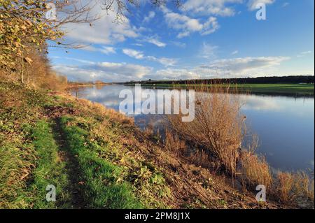 River Tweed at Paxton House Estate waterfront, Berwickshire, Scottish Borders, Scotland, 2011 Stock Photo