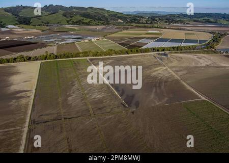 Pajaro, Calif. - March 26: The repaired Pajaro River levee on March 26, 2023. The flood ruined $330,0000 worth of strawberry and Raspberry crops. (Photo by Paul Kuroda for The Washington Post)s. Paul Kuroda/Alamy Stock Photo Stock Photo