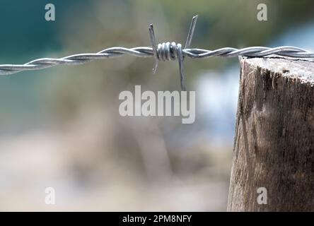 Extreme close up of barbed wire attached to wooden pole against blurred background as concept for lock out lock in borders and prison Stock Photo
