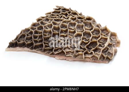 raw beef honeycomb tripe( second stomach ) Stock Photo