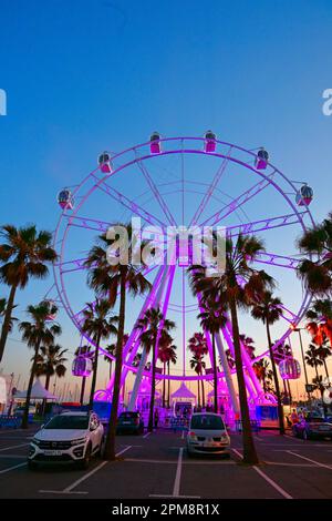Malaga Benalmadena Marina Mirador Ferris Wheel at twilight amid  the palm trees Stock Photo