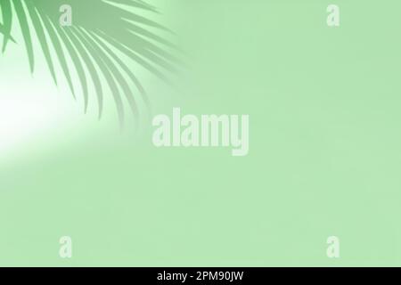 Minimal abstract background with blurry shadow of tropical palm leaves. Cosmetic product Presentation. Premium podium. Pastel light empty green wall. Stock Photo
