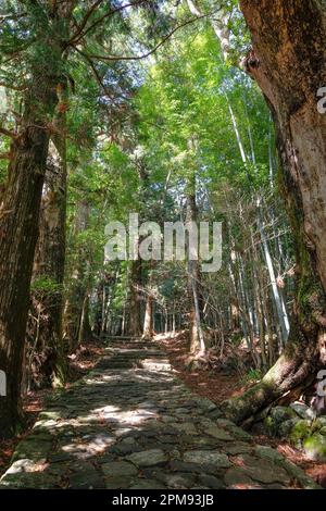 Nachikatsuura, Japan - March 19, 2023: Daimon-zaka is a famous slope is part of the Kumano Kodo, one of Japan's three great pilgrimage routes. Stock Photo