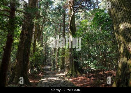 Nachikatsuura, Japan - March 19, 2023: Daimon-zaka is a famous slope is part of the Kumano Kodo, one of Japan's three great pilgrimage routes. Stock Photo