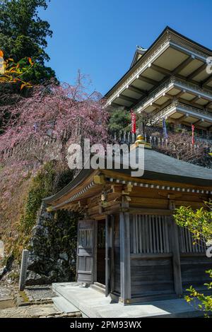 Nachikatsuura, Japan - March 19, 2023: Kumano Nachi Taisha is a Shinto shrine located in Nachikatsuura, Japan. Stock Photo