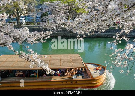 Kyoto, Japan - March 28, 2023: Tourists boating on the Okazaki canal with cherry blossoms in Kyoto, Japan. Stock Photo