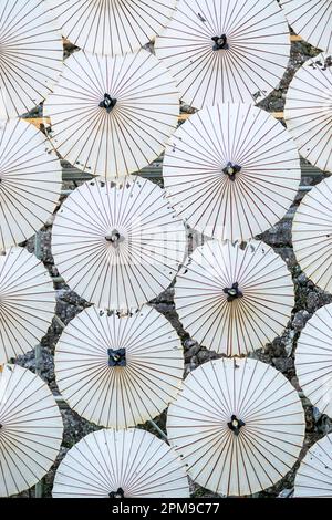Japanese paper umbrella at Kochi Park in Kochi, Japan. Stock Photo