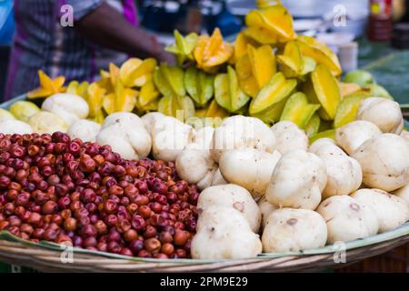 Shank aloo or jicama or sweet turnips are kept with Indian jujube or ber or topa kul in their ripe state at a fruit seller shop in india. Stock Photo