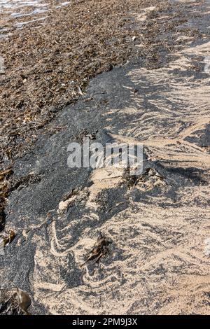 Sea coal on the beach at Newbiggin by the Sea, Northumberland, England, UK Stock Photo