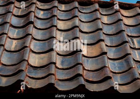 Southern plantations are a thing of the past. Stock Photo