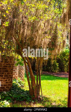 Southern plantations are a thing of the past. Stock Photo