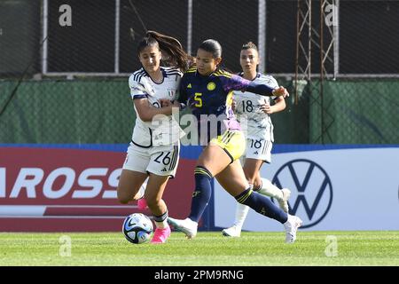 Ladies' Friendly Matches