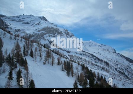 Les Diablerets landscape with trees and the summit in sight Stock Photo