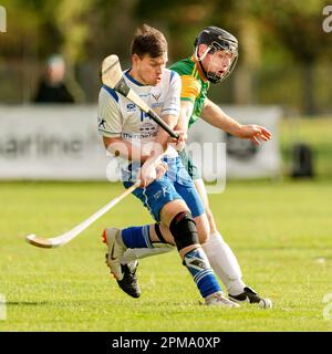 Marine Harvest Scotland v Ireland shinty hurling international, played at The Bught, Inverness.  Combined shinty and hurling rules apply. Stock Photo