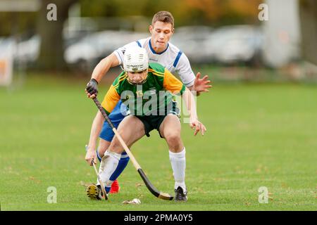 Marine Harvest Scotland v Ireland shinty hurling international, played at The Bught, Inverness.  Combined shinty and hurling rules apply. Stock Photo