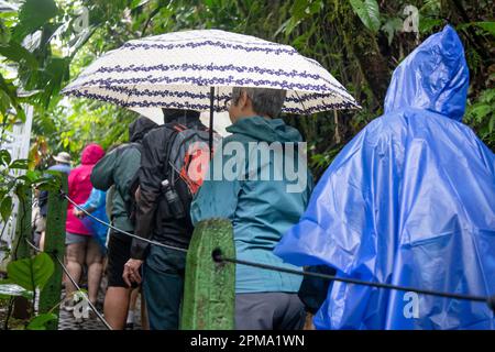 La Fortuna, Costa Rica - Tourists wait in the rain to cross a suspension bridge Mistico Hanging Bridges Park. The park allows tourists to hike through Stock Photo