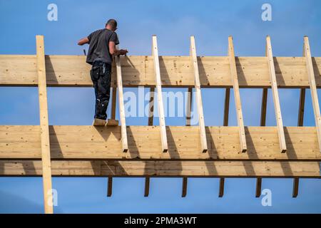 Carpenter, on a roof truss, new construction of a wooden pointed roof, refurbish, Stock Photo