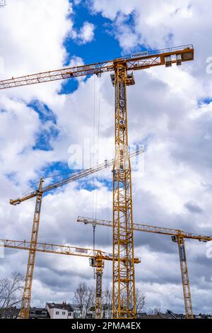 Construction cranes, on a large construction site in Düsseldorf, construction of condominium in the PANDION NEXT project, NRW, Germany, Stock Photo
