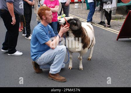 Preparing and showing a Jacob sheep ram at the Skipton Sheep Day, High St, Skipton, North Yorkshire (2010) Stock Photo