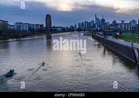 Skyline of Frankfurt am Main, skyscrapers, business and banking district in the city centre, rowing boats on the Main, Hesse, Germany, Stock Photo