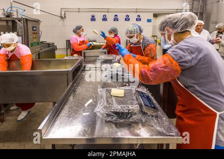 At the Arden dairy in Lefkoşa/Nicosia, Turkish Republic of Northern Cyprus (TRNC), several female workers pass freshly pressed hellim blocks along a stainless-steel table. An already shrink-wrapped piece lies ready beside two black packaging machines. Stock Photo