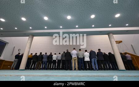Mainz, Germany. 12th Apr, 2023. Believers have gathered in the prayer room of the Bosnian Mosque of the Islamic Community of Bosniaks (IGDB) in front of the wall relief with Suras 59 (l) and 2 from the Koran for evening prayer. During the fasting month of Ramadan, the Muslim communities in Rhineland-Palatinate also invite non-Muslims to break their fast in the evening (iftar). Credit: Arne Dedert/dpa/Alamy Live News Stock Photo