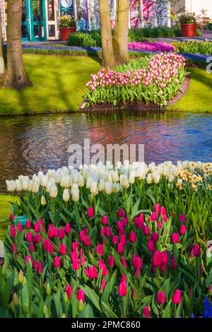 Garden Scene  at Keukenhof Gardens in South Holland in The Netherlands. Stock Photo